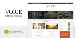 Voice 3.0.2破解版主题