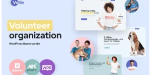 Vollin Volunteer Organization WordPress Theme 1.0破解版主题