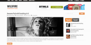 WILDFIRE CLEAN RESPONSIVE WORDPRESS THEME 1.1.1破解版主题