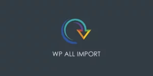 WP All Import Pro 4.8.10破解版插件