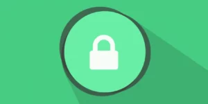 WP Customer Area Owner restrictions 4.1.1破解版插件