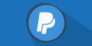 WP Customer Area Paypal gateway 1.1.1破解版插件
