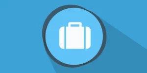 WP Customer Area Projects 4.2.3破解版插件