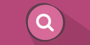 WP Customer Area Search 3.1.2破解版插件