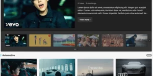 WP Enjoy – EnjoyTube Pro 1.0.6破解版主题