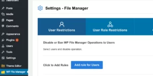 WP File Manager Pro 8.3.7破解版插件