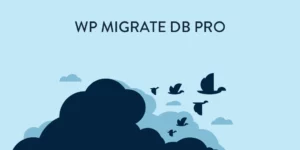 WP Migrate DB Pro Theme Plugin Files 2.6.10破解版插件