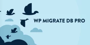 WP Migrate Theme Plugin Files Addon 1.2.0破解版插件