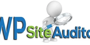 WP Site Auditor Premium SEO Audit Plugin for WordPress 1.2.6破解版插件