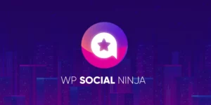 WP Social Ninja Pro – WordPress Plugin 3.13.1破解版插件