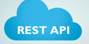 WP Statistic REST API 1.2.3破解版插件