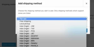 WPBisnis WooCommerce Indo Ongkir WordPress Plugin 1.3.4破解版插件