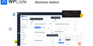 WPCode Multisite Addon 1.0.0破解版插件