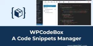 WPCodeBox – The easiest way to add Code Snippets to WordPress 1.1.1破解版插件