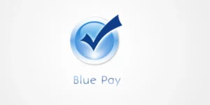 WPDownload Manager Blue Pay 1.2.0破解版插件