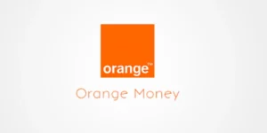WPDownload Manager Orange Money Payment Gateway 1.3.0破解版插件