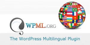 WPML WPForms Multilingual Addon 0.4.0破解版插件