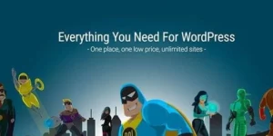 WPMU DEV MarketPress Ecommerce 3.3.0破解版插件