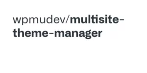 WPMU DEV Multisite Theme Manager 1.1.6破解版插件