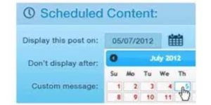 WPMU DEV Schedule Selected Content 1.2.2破解版插件