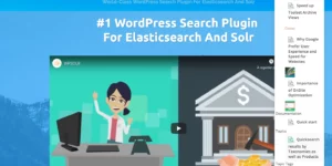 WPSOLR PRO 23.3破解版插件