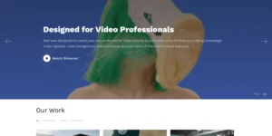 WPZOOM Reel 3.0.7破解版主题
