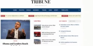 WPZOOM Tribune 4.2.2破解版主题