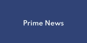 WPZoom Prime News 1.0.10破解版主题