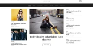 Waylard Fashion Blog Magazine WordPress Theme 1.0.0破解版主题
