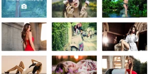 Weblizar Responsive Photo Gallery Pro 6.1破解版插件