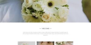 Wedding Wedding Salon Multipurpose Modern WordPress Elementor Theme WordPress Theme 1.0.0破解版主题