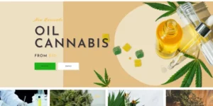 WeedMarket Dokan Multivendor Marketplace WordPress Theme 1.0.0破解版主题