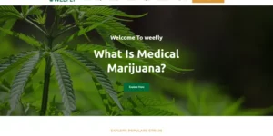 Weefly | Medical Cannabis Marijuana WordPress Theme 1.9.7破解版主题