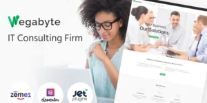 WegaByte Elementor-based IT Consulting WordPress Theme 1.0.1破解版主题