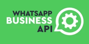 Whatpress Integration Plugin via WhatsApp API 1.0破解版插件