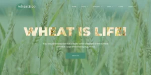 Wheattico Crop Farm Responsive WordPress Theme 1.0.0破解版主题