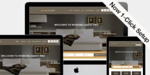 Winning Agent Pro 2破解版主题