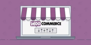 WooCommerce ConstantContact Integration 1.12.0破解版插件