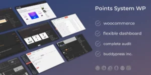 WooCommerce Easy Point System Packages DZS 1.0.0破解版插件