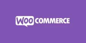 WooCommerce Extra Fees Plugin 3.9.4破解版插件
