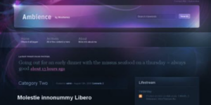 WooThemes Ambience Premium Theme 2.6.0破解版主题