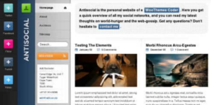 WooThemes Antisocial Premium Theme 1.3.5破解版主题