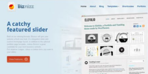 WooThemes Biznizz Premium Theme 1.6.9破解版主题