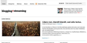 WooThemes Blogging Stream Premium Theme 2.7.1破解版主题