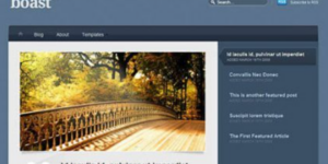 WooThemes Boast Premium Theme 1.1.7破解版主题