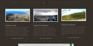 WooThemes Buro Premium Theme 1.3.10破解版主题
