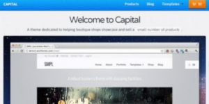 WooThemes Capital Premium Theme 1.4.1破解版主题