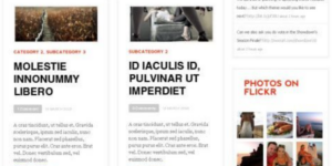 WooThemes Daily Edition Premium Theme 1.6.9破解版主题