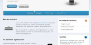 WooThemes Delegate Premium Theme 2.3.2破解版主题