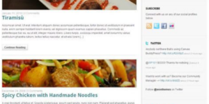 WooThemes Delicious Magazine Premium Theme 1.1.15破解版主题